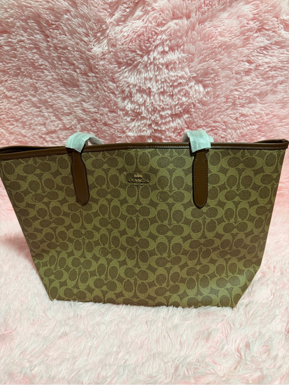 Coach Signature Canvas Tote Bag in Brown code F2477-CV976